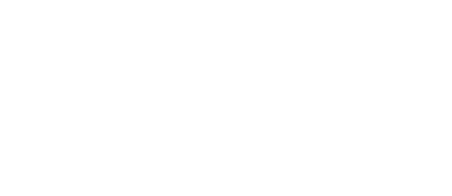 Borgun Securepay Logo